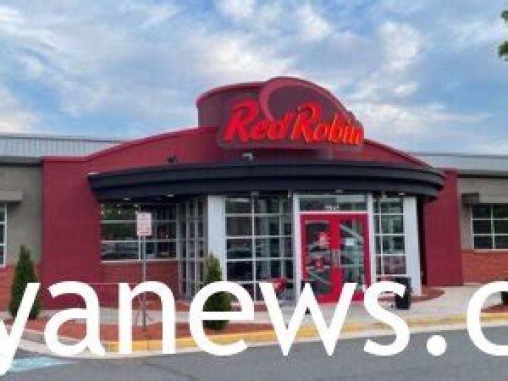 Who Owns Red Robin?