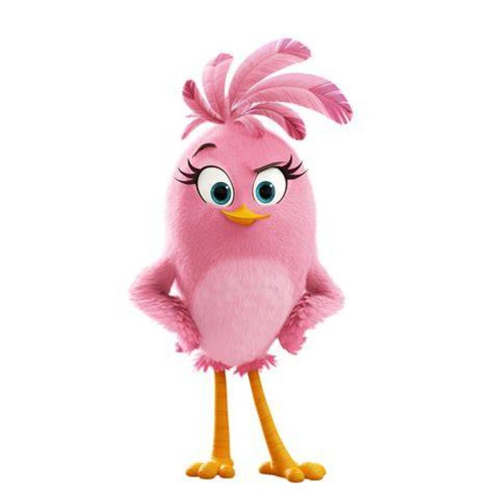 Who plays the pink bird in Angry Birds movie?