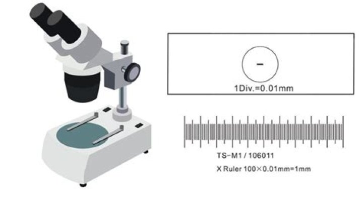 Why is it necessary to calibrate the ocular micrometer?