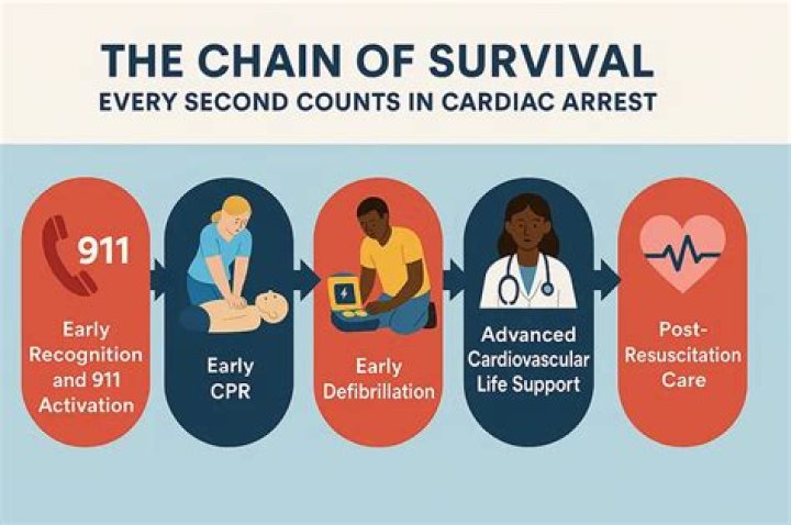 Why is rapid defibrillation important to the chain of survival?