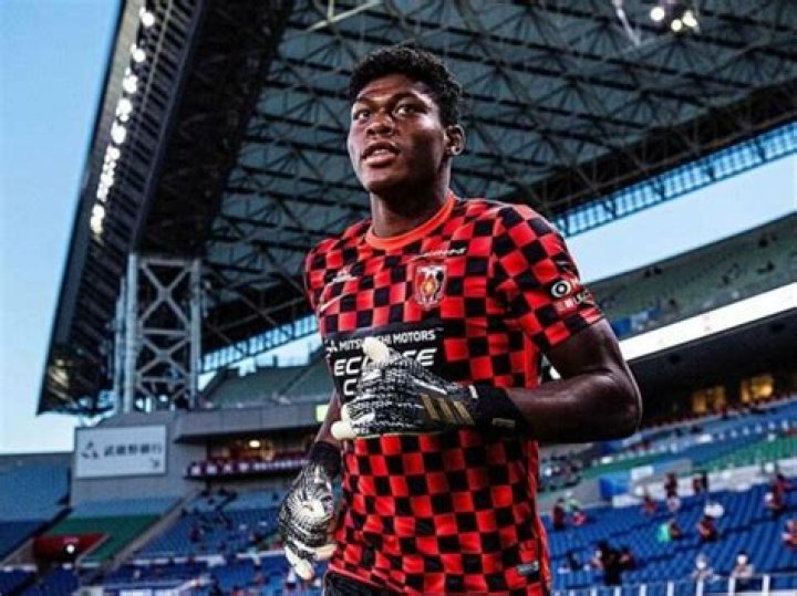 Zion Suzuki Height, Weight, Net Worth, Age, Birthday, Wikipedia, Who, Nationality, Biography